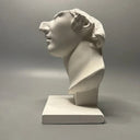 The Spartan bust