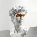 David Bust, alternate view